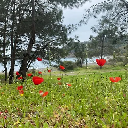 ベッド・アンド・ブレックファスト Inlice Uenzile Inlice Kamp フェティエ