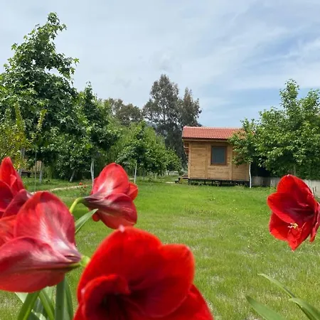 Inlice Uenzile Inlice Kamp Bed and breakfast *