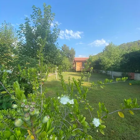 Inlice Uenzile Inlice Kamp Bed and breakfast Fethiye