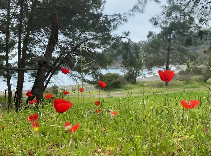 Couette-café Inlice Uenzile Inlice Kamp Fethiye