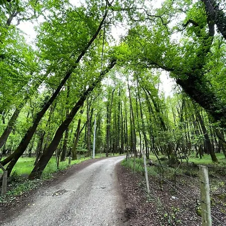 Inlice Uenzile Inlice Kamp Bed and Breakfast Φετιγιέ