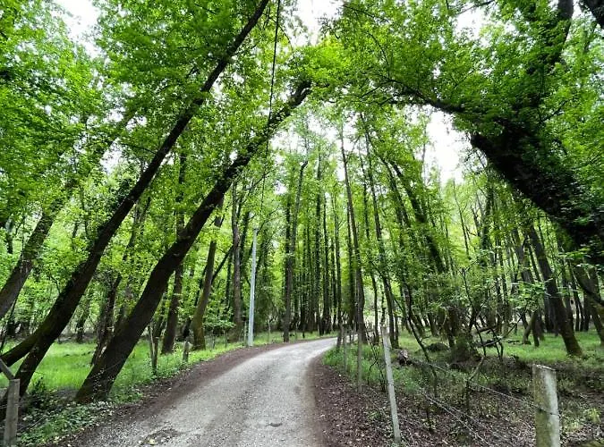 Inlice Uenzile Inlice Kamp Bed and breakfast Fethiye