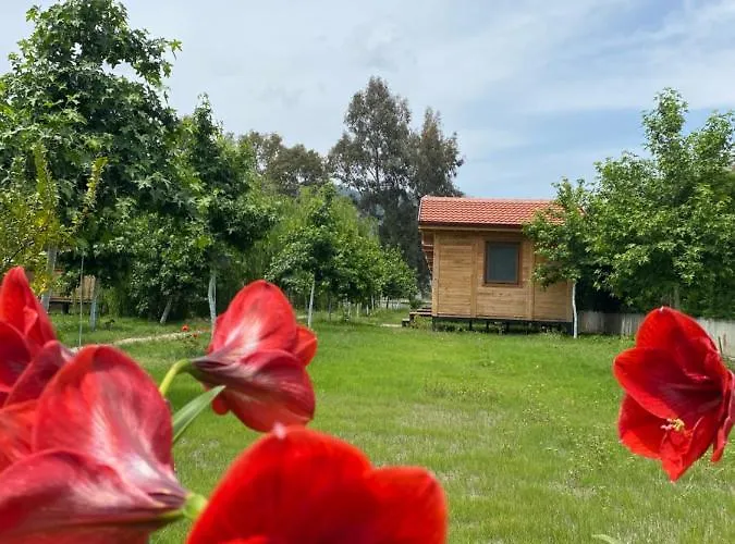 Inlice Uenzile Inlice Kamp Panzió *