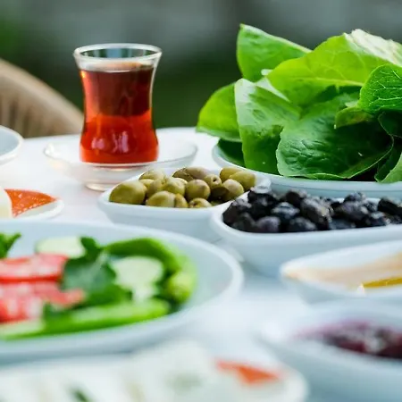 Inlice Uenzile Inlice Kamp Oda ve Kahvaltı