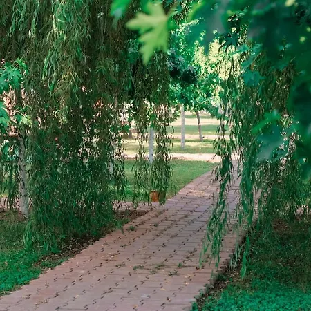 Inlice Uenzile Inlice Kamp Fethiye