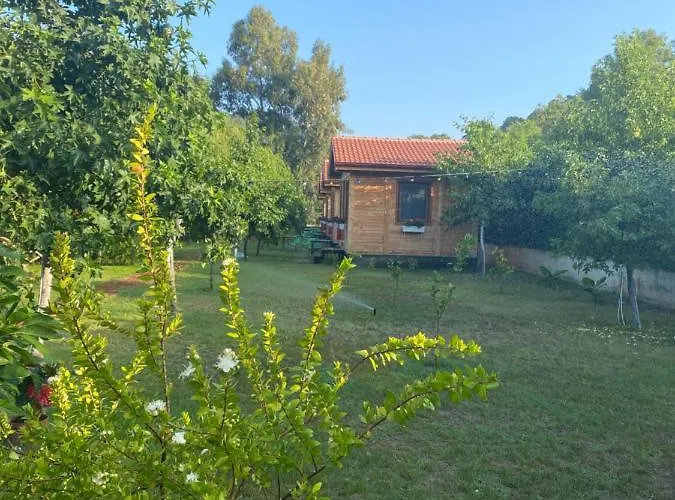 Inlice Uenzile Inlice Kamp